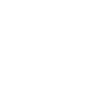 Fiat Logo